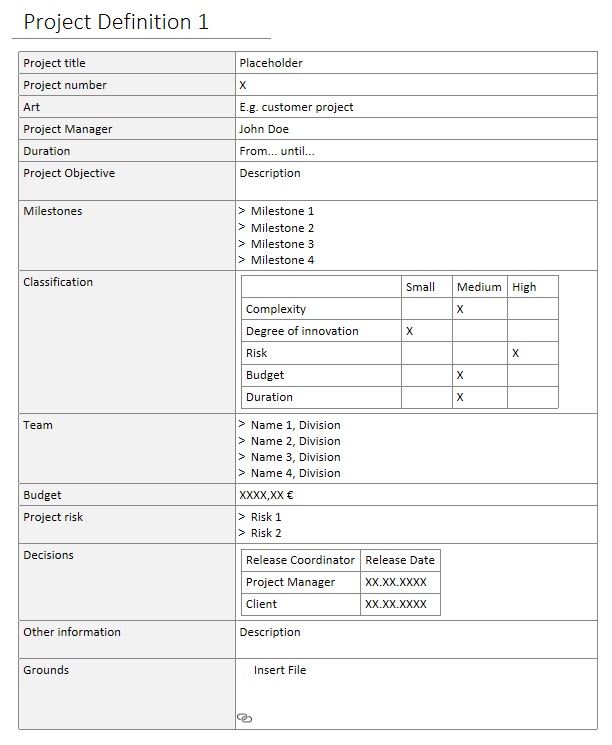 project definition template